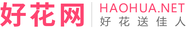 好花网